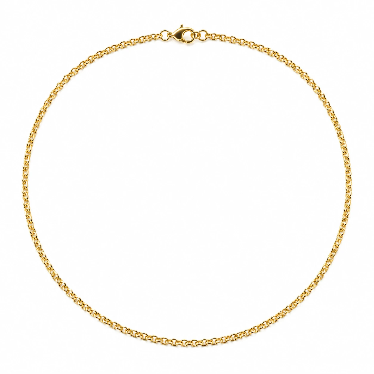 Overhead view of the same thin gold chain arranged in a closed circle on plain white.